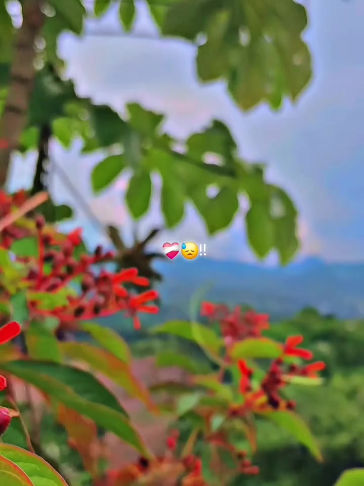 @๐๐ณ๏ธ๐ลคฤäm Jฬฬฃลฑฤnฬïแนญø๐๐ป๐พ