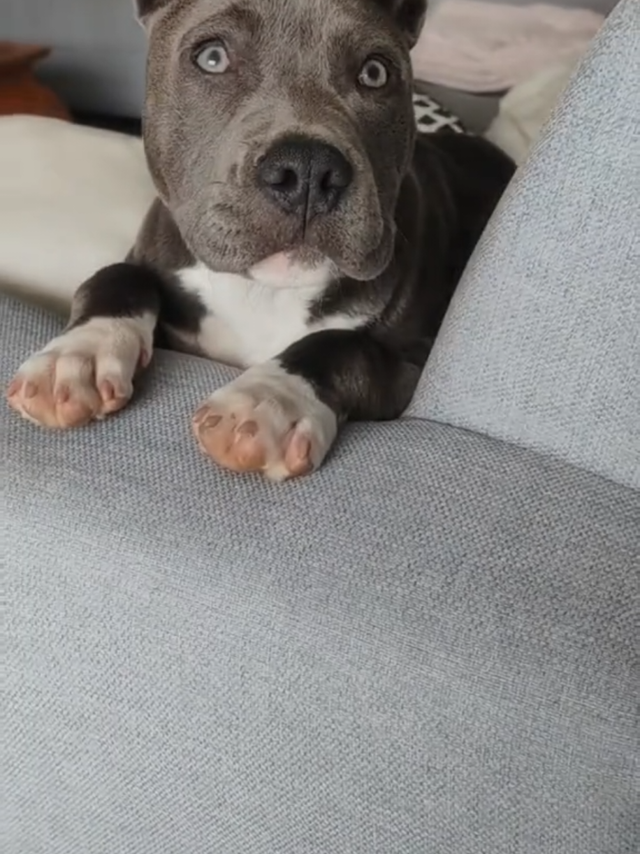 @Asko amstaff