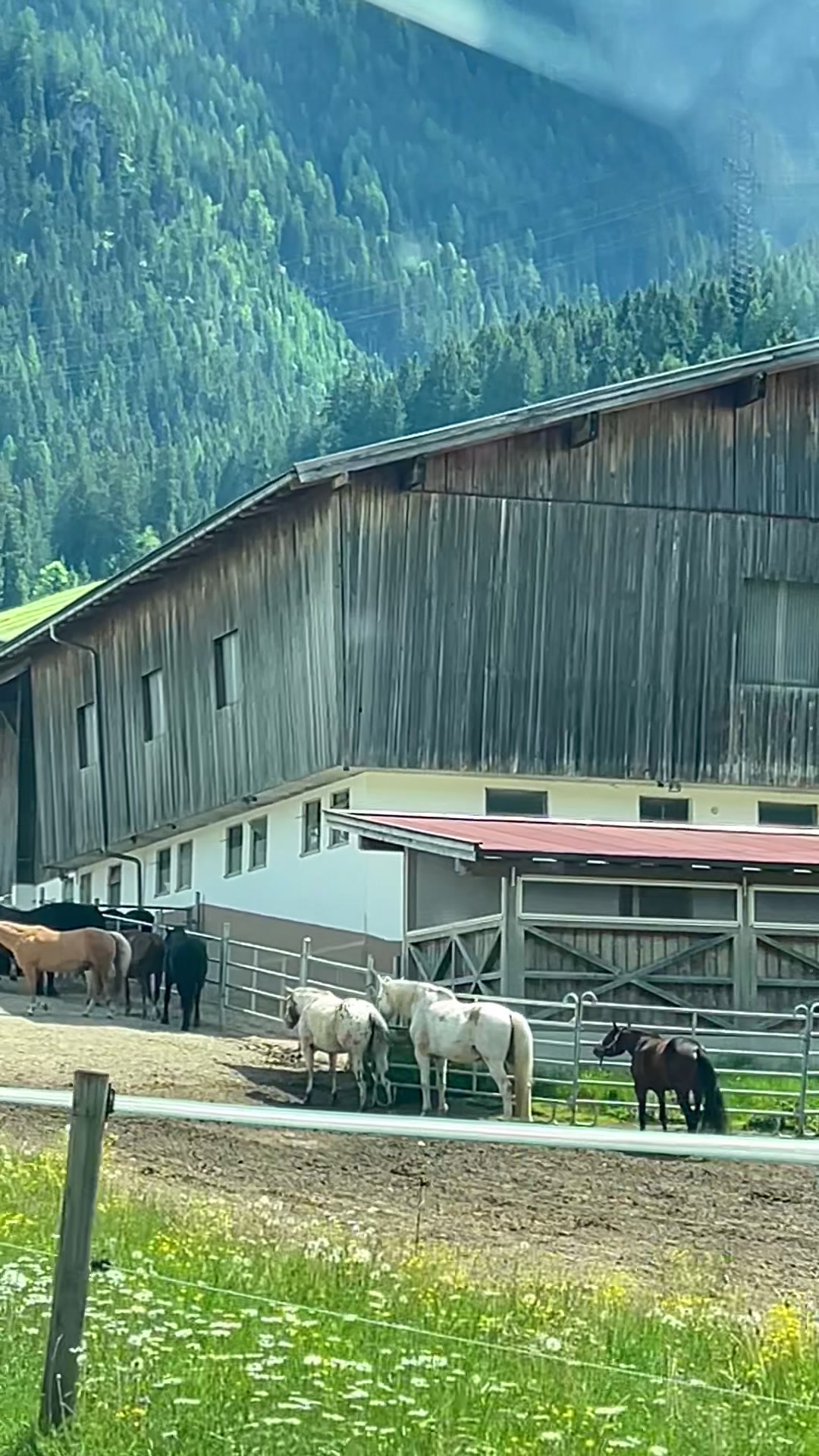 @austria.with.me