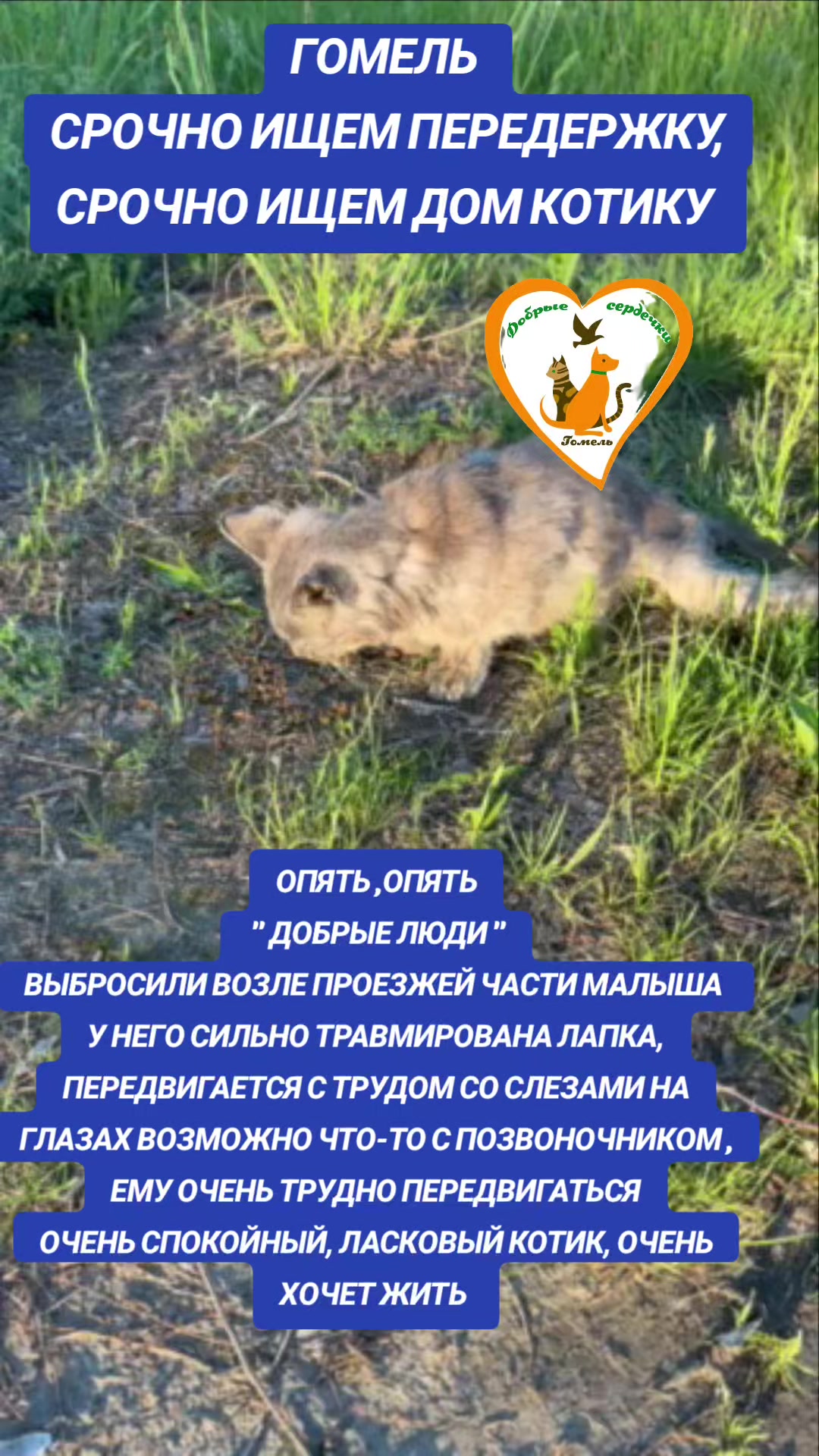 @Марина