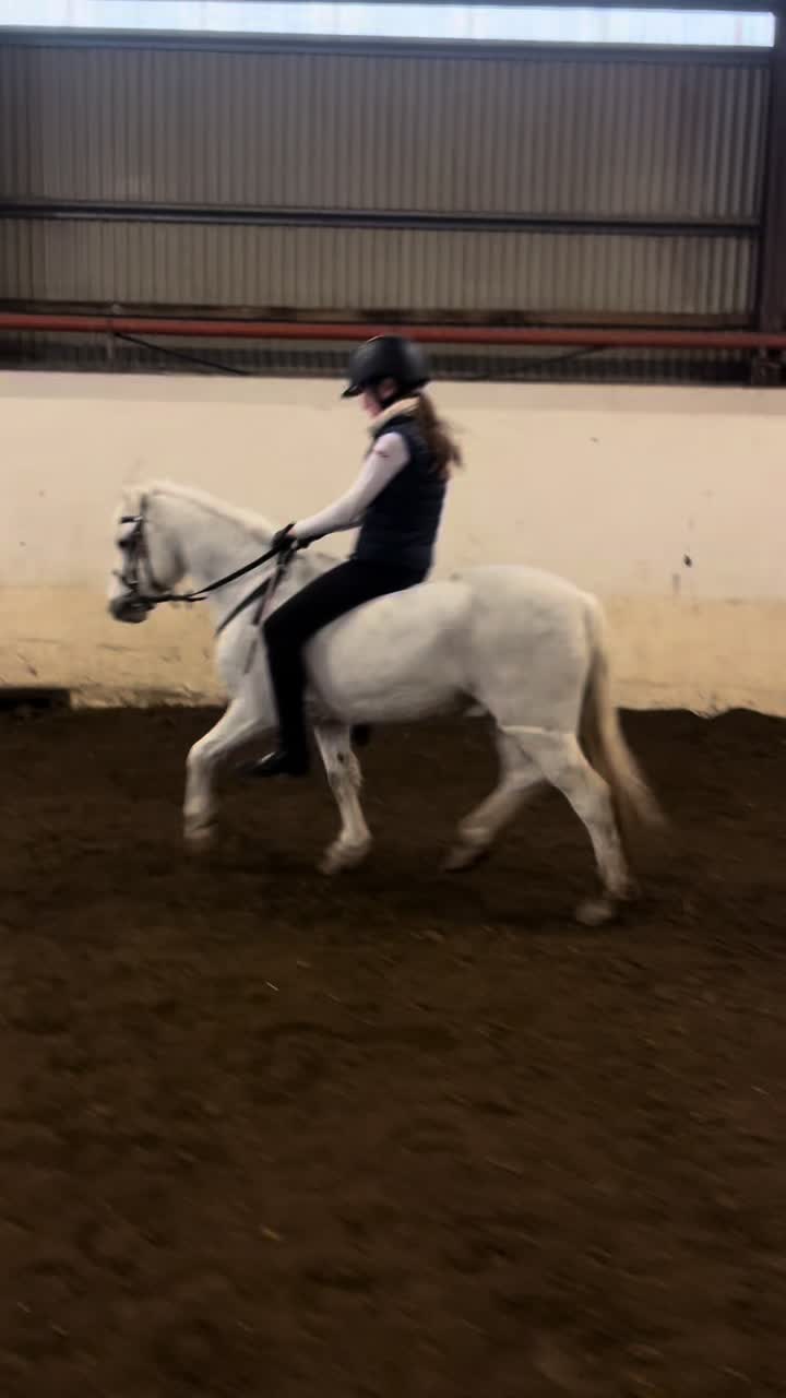 @Equi_…