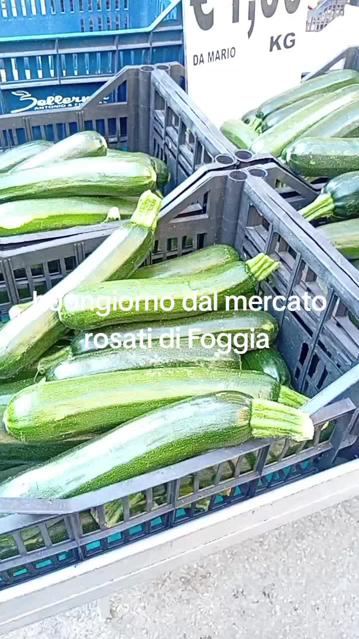 @mariodantonio7
