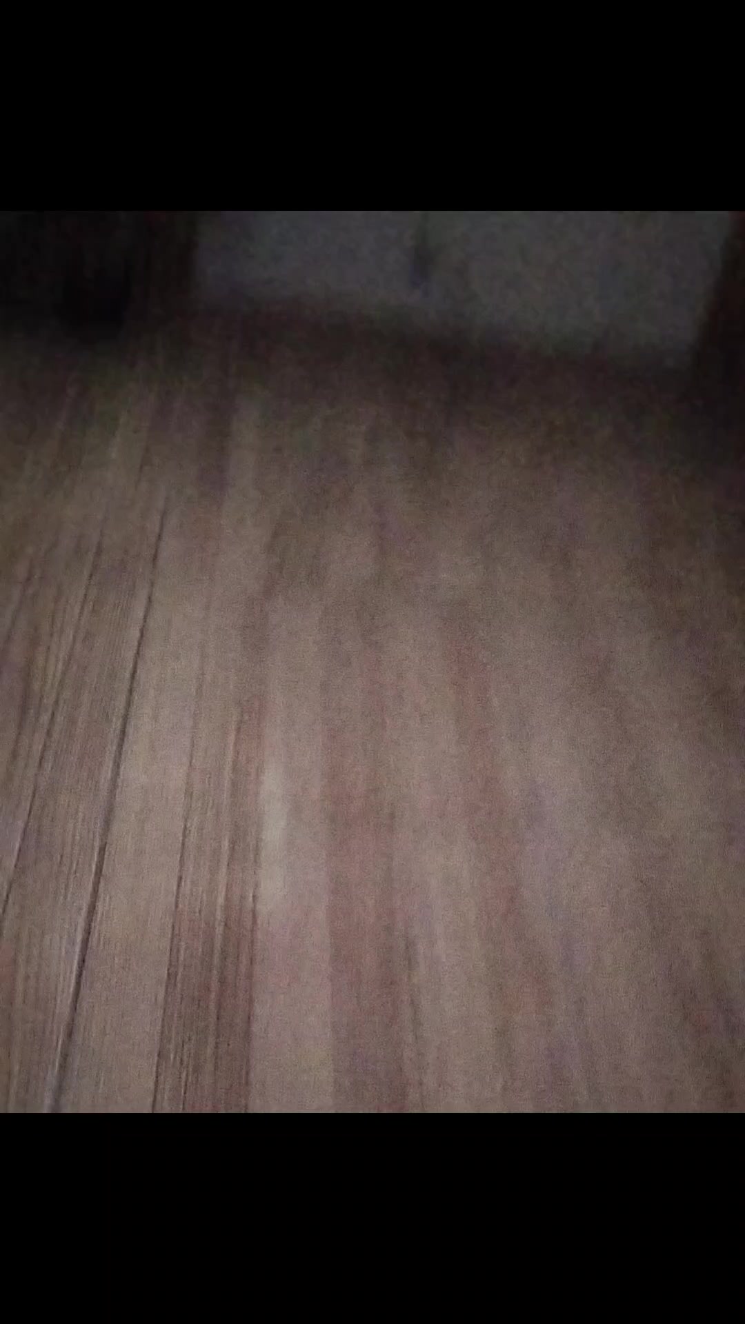 @Dexter𓃥333💜🐾🐶