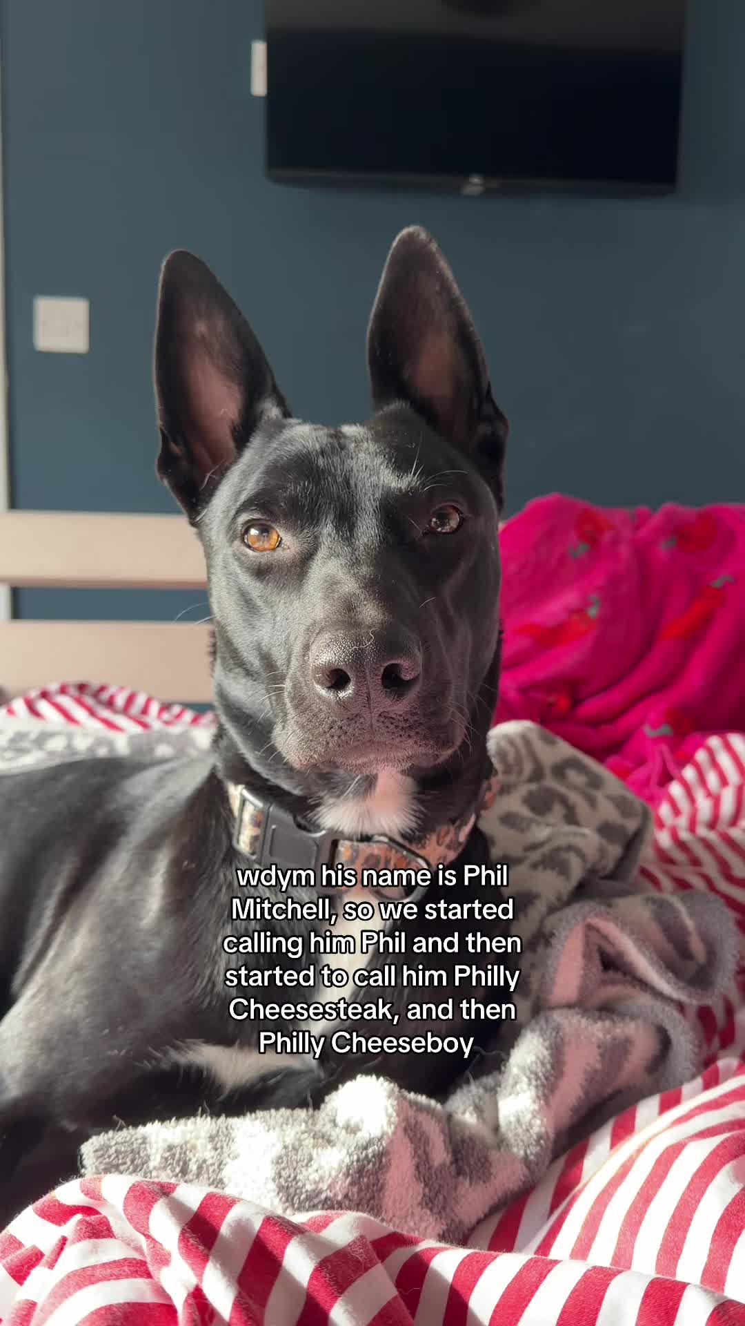 @gigiandphilmitchell