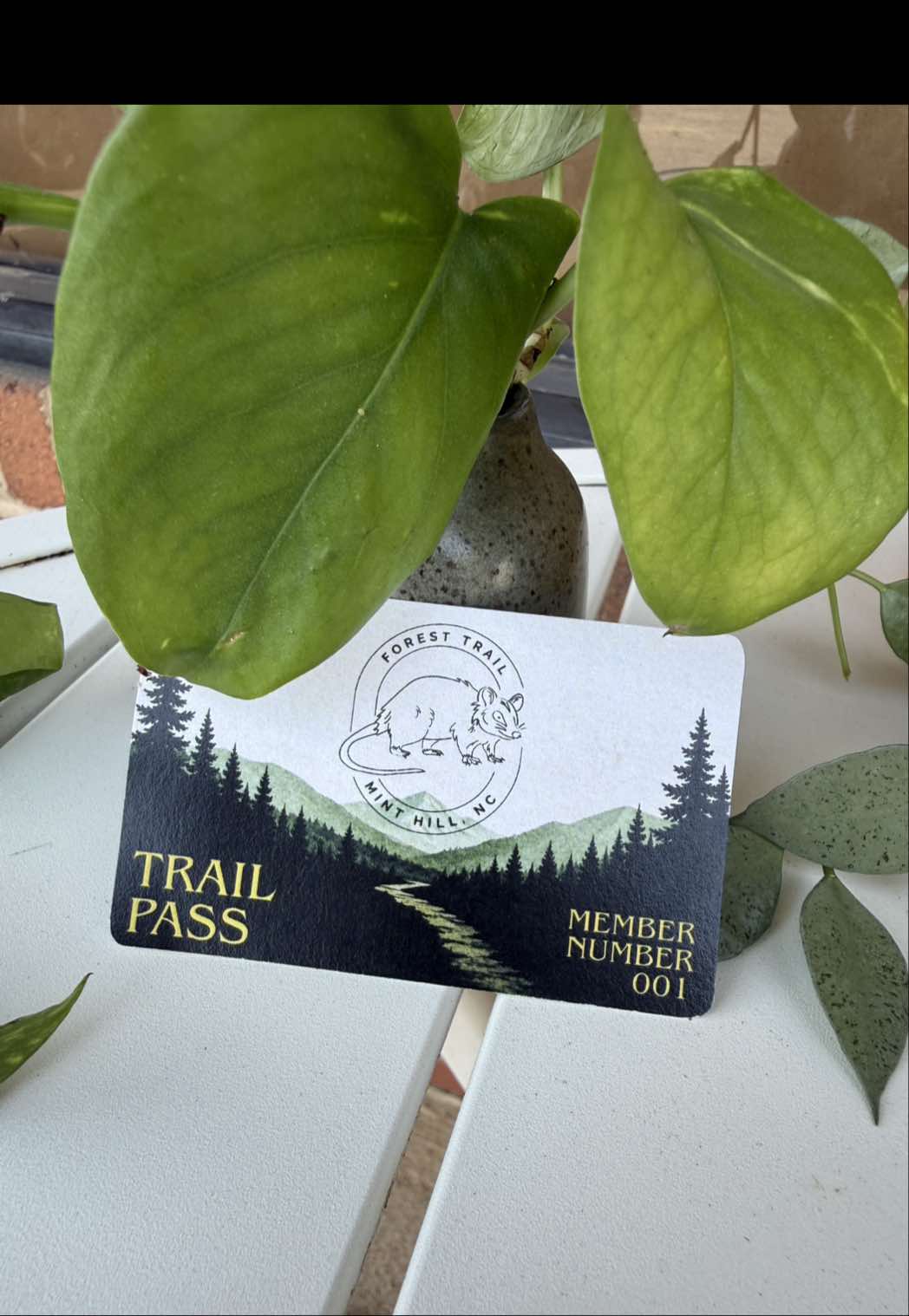 @foresttrailminthill