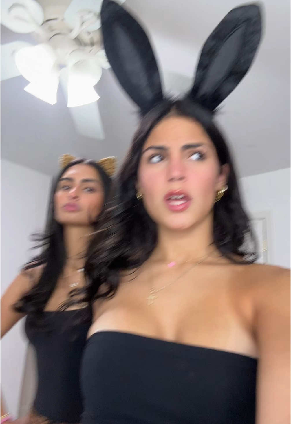 @isa