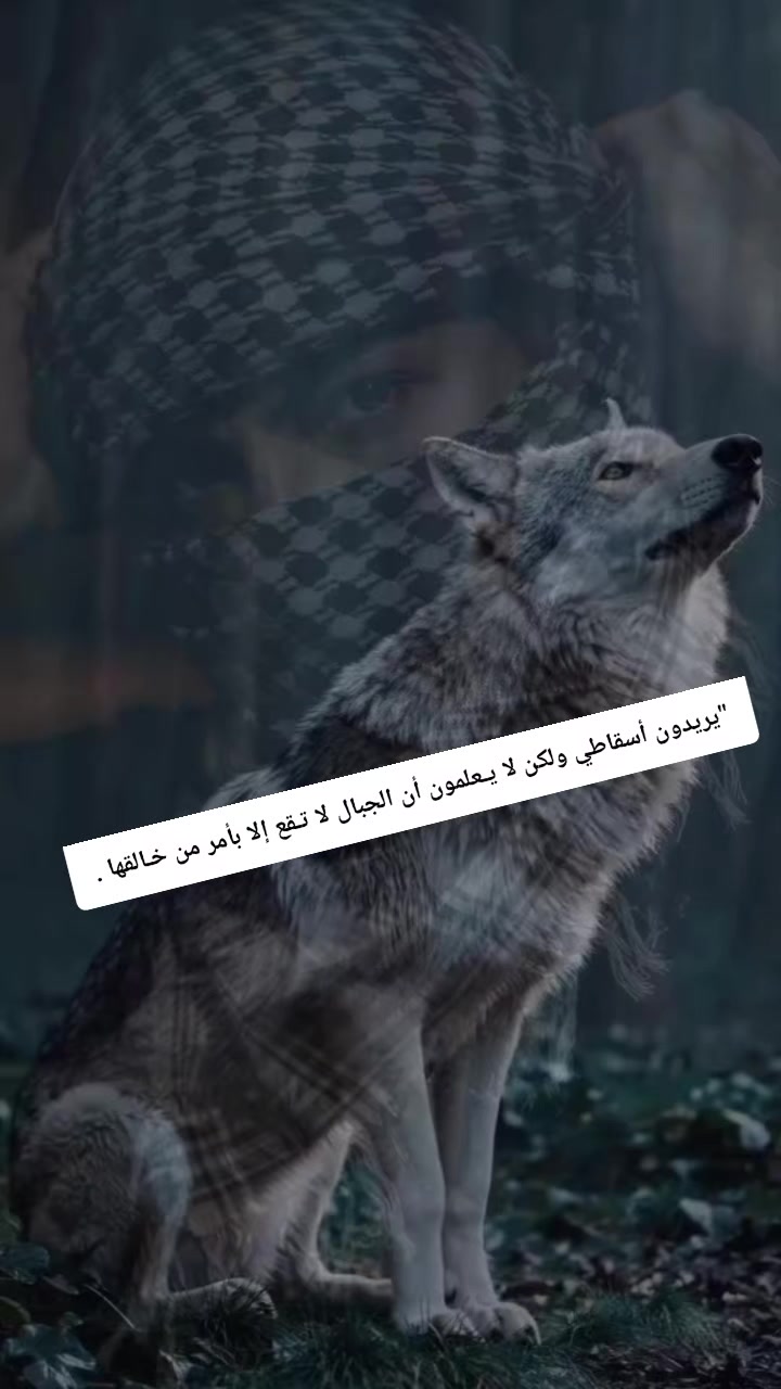 @القائدعلوش مر من هنا🇩🇿🫡🇵🇸