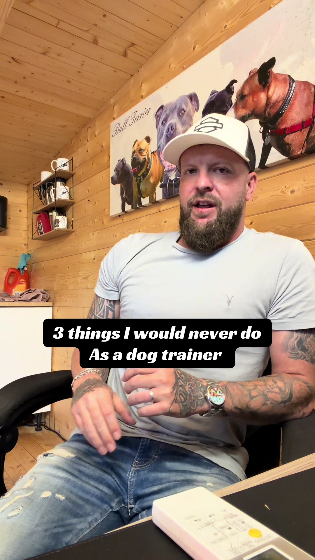 @SouthendDogTraining