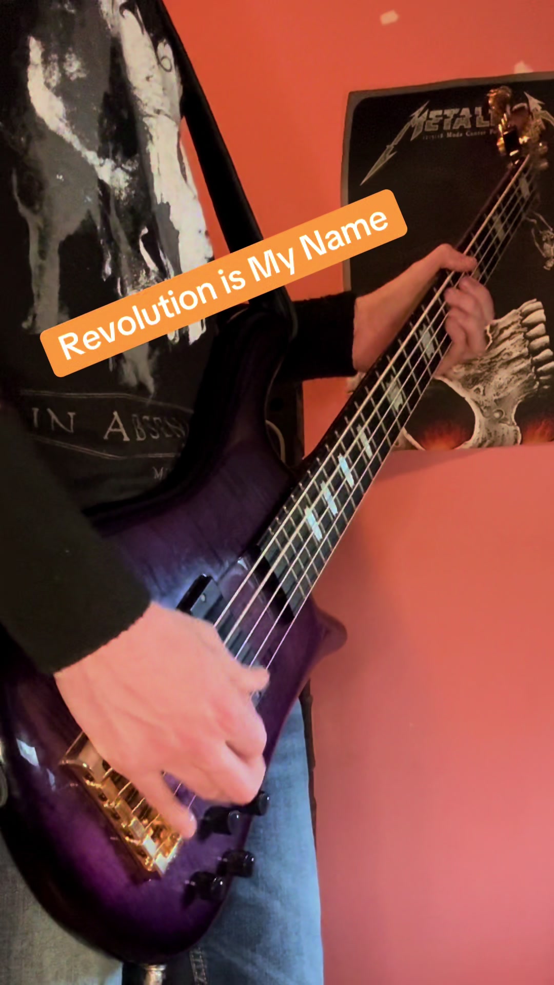 @Bass Player
