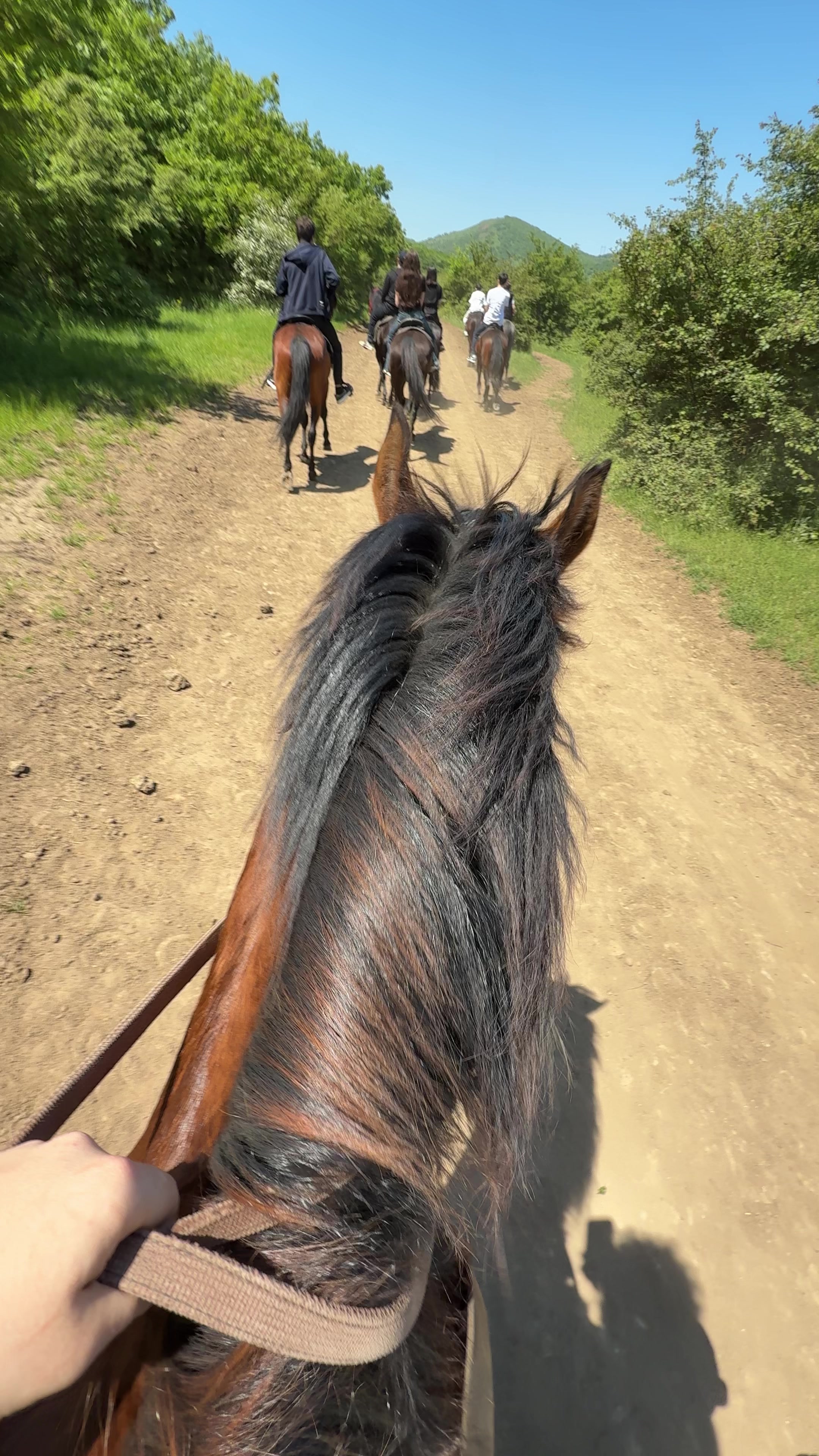 @horselakia