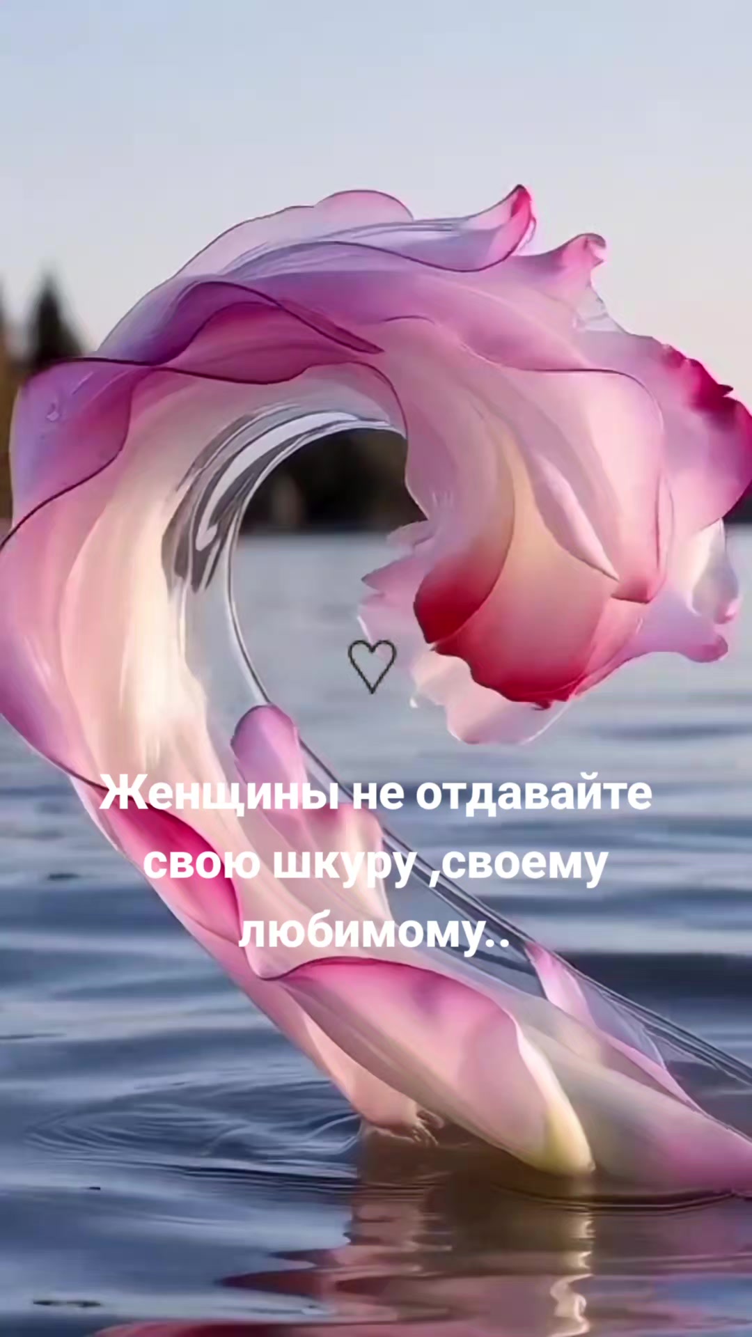 @Мила Телец.