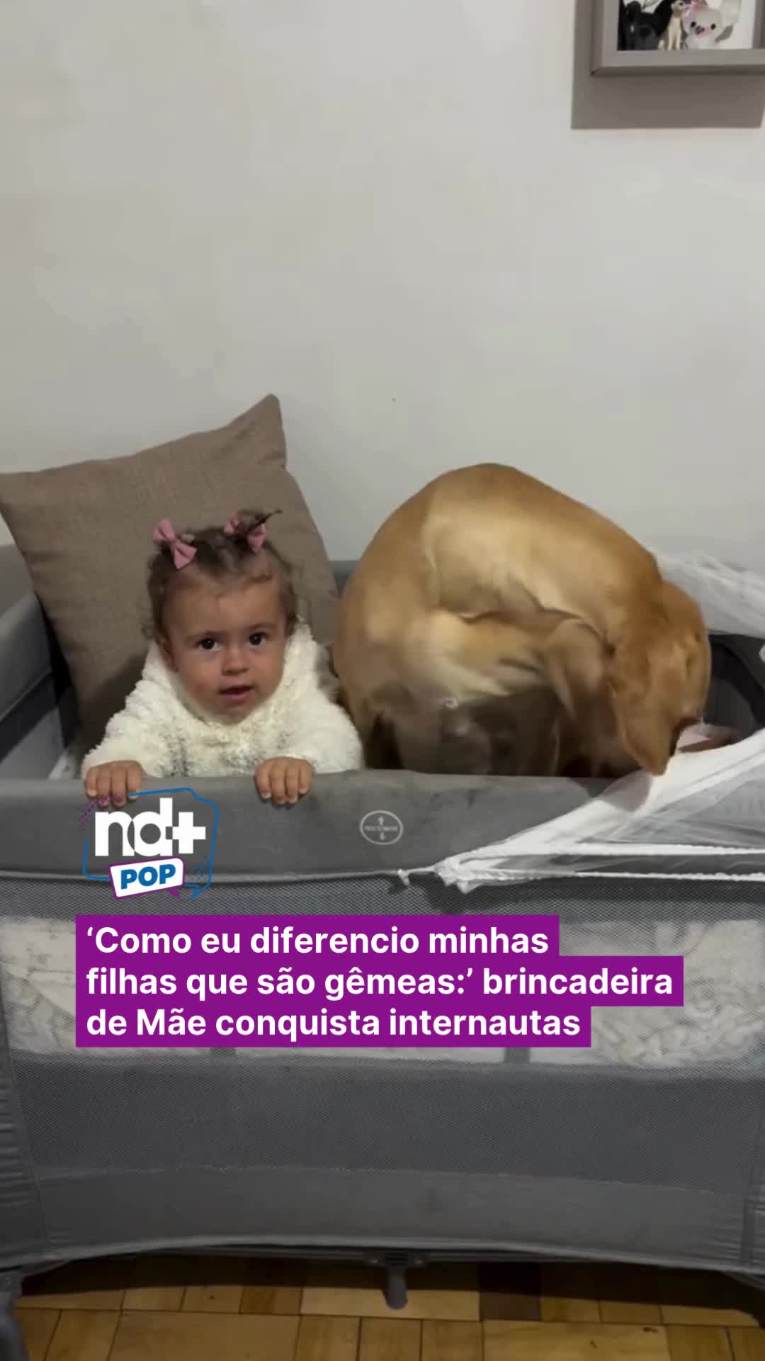 @portalndmais