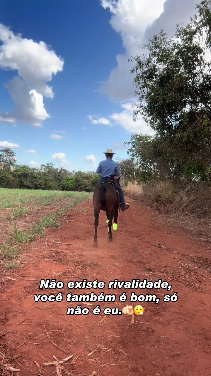 @mateusandrade9837