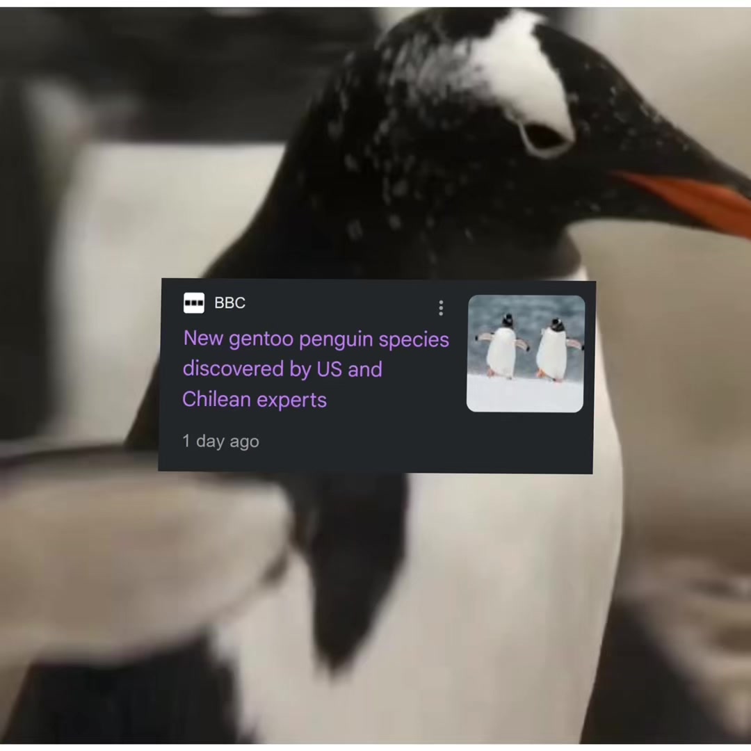 @charlie 🐧 d1 peso glazer