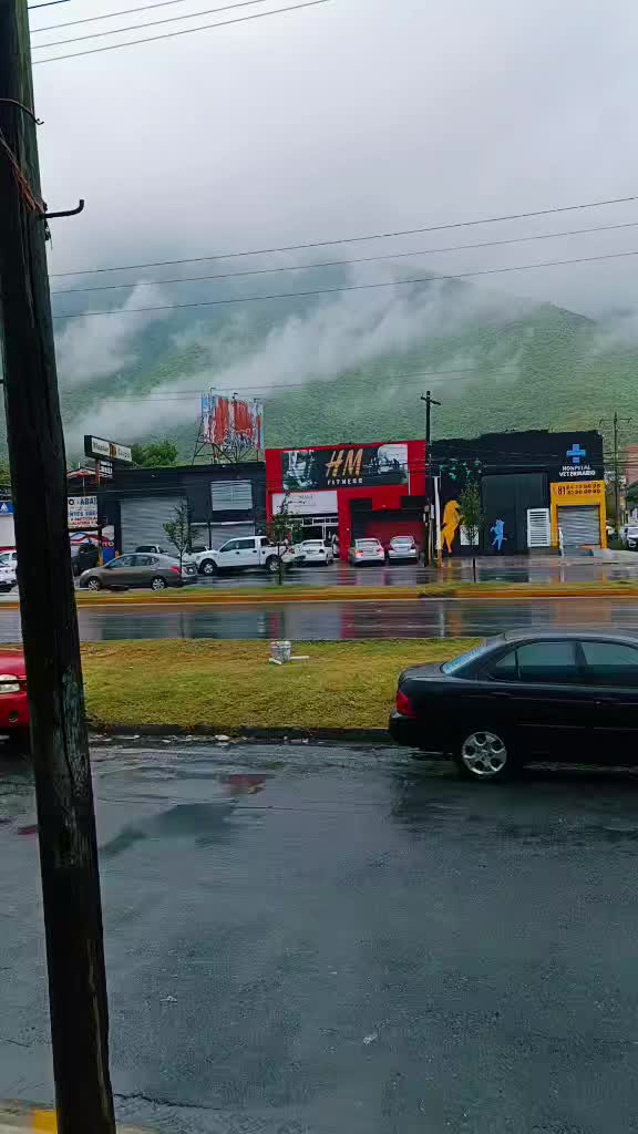 @Diana Lucero Montejano