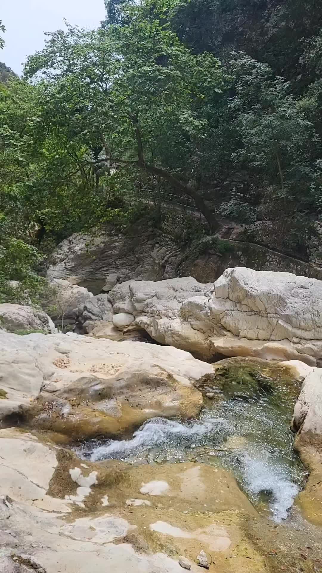 @tanya.shone