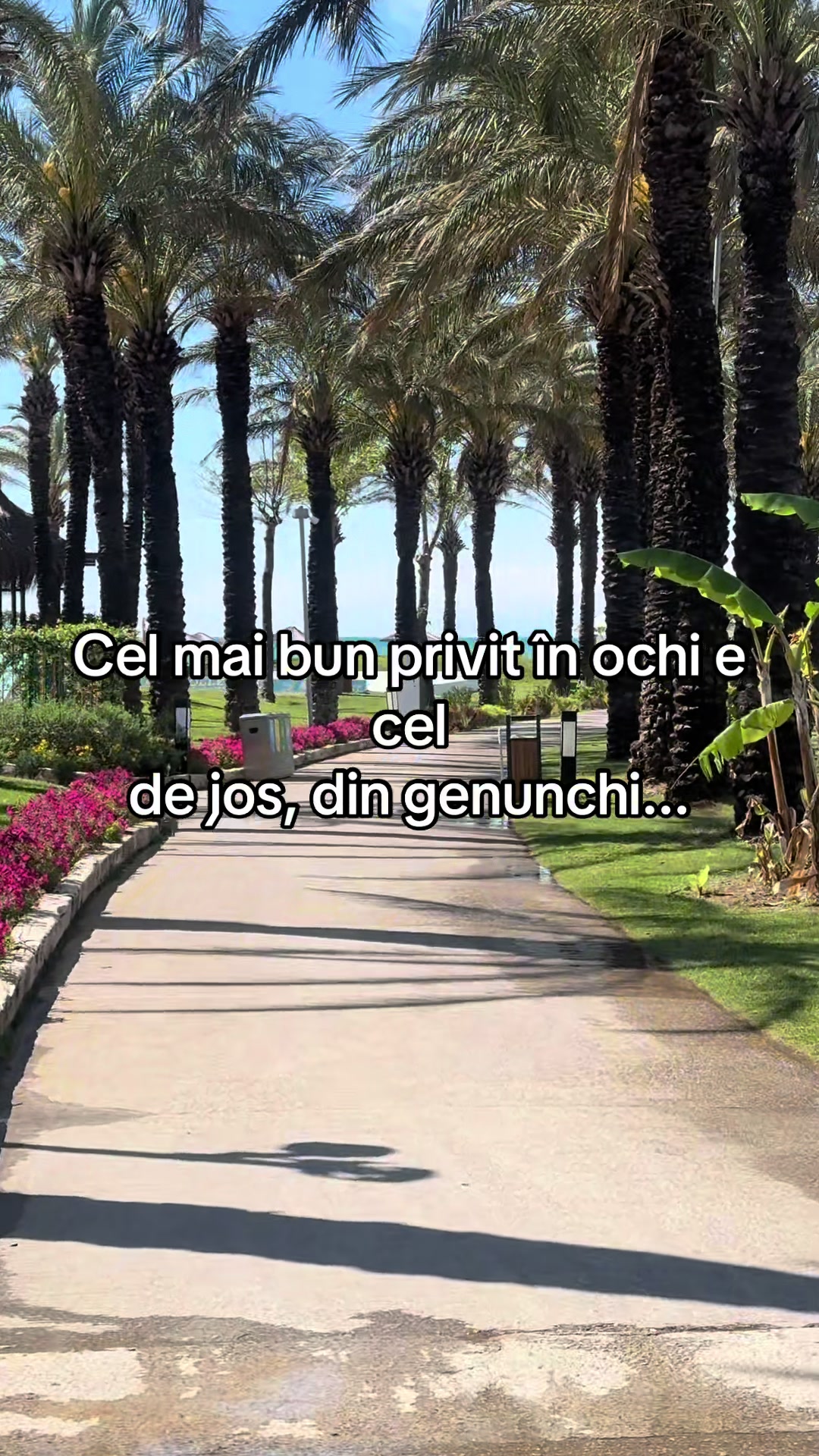 @ADROJY