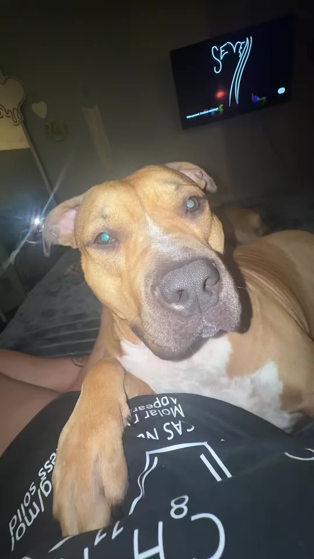 @Emz_N_her_bullies