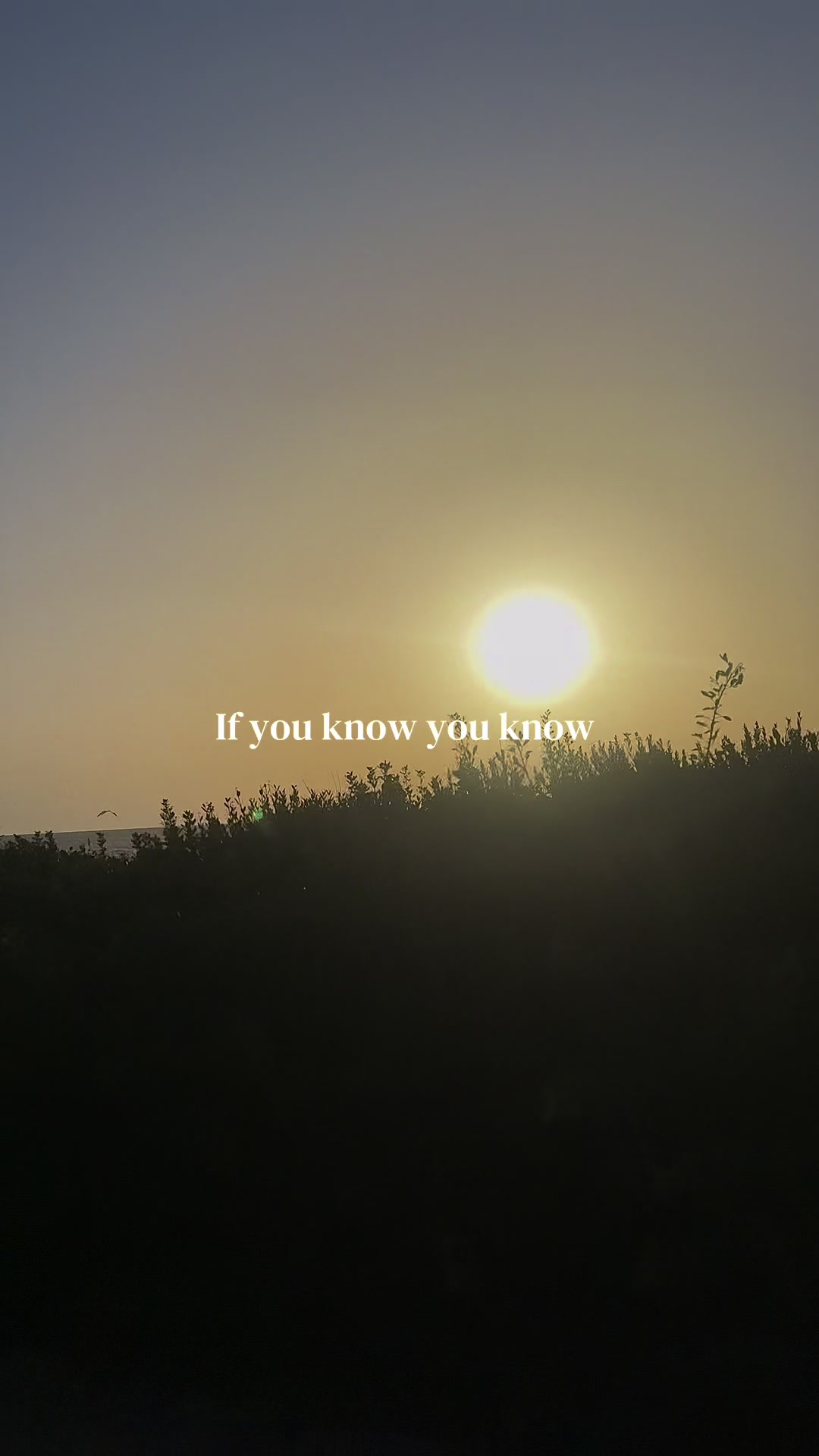 @Wiktoria/&beta;&iota;&kappa;&tau;ό&rho;&iota;&alpha;