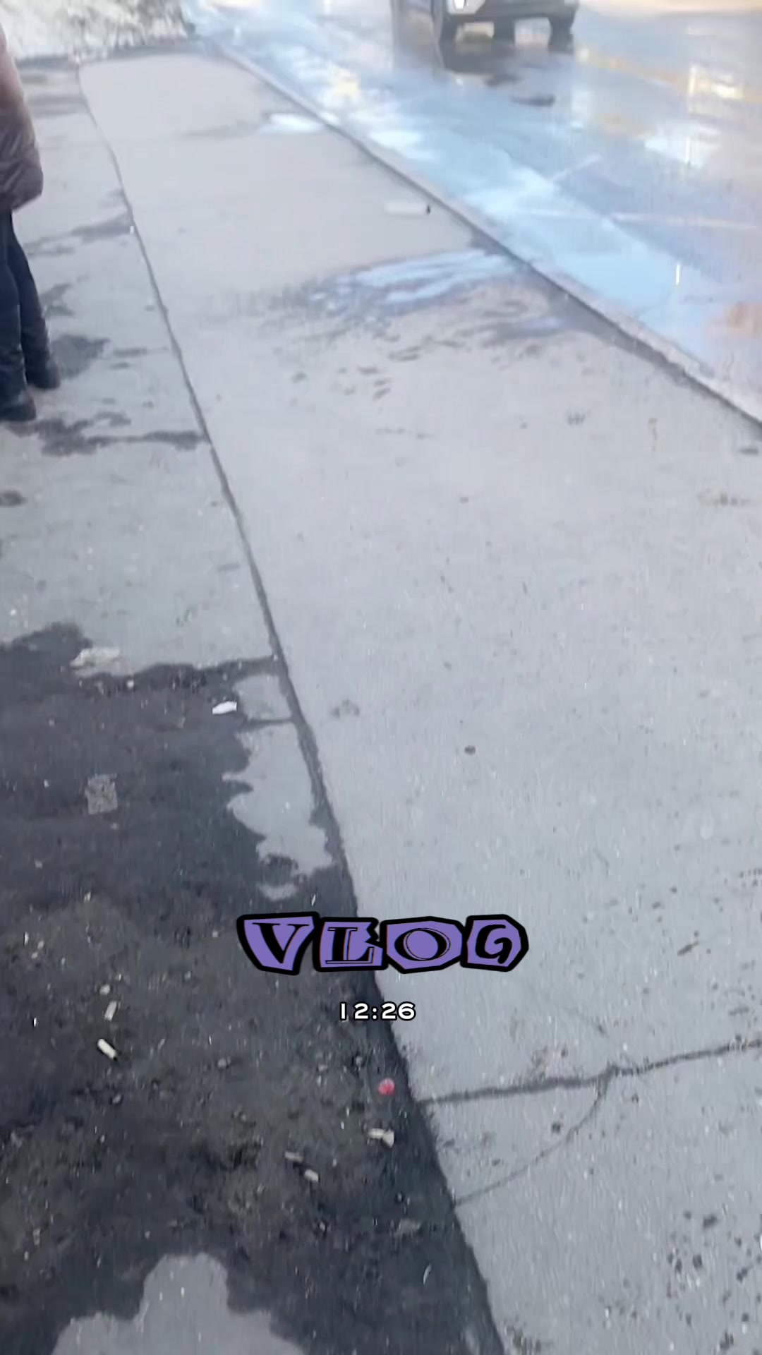 @лэсявиш
