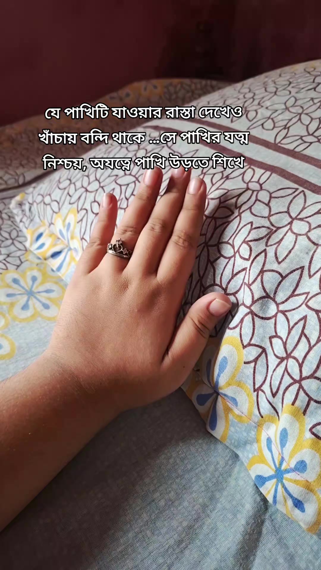 @🤲😺ঈমানদারী বিলাই 😺🤲