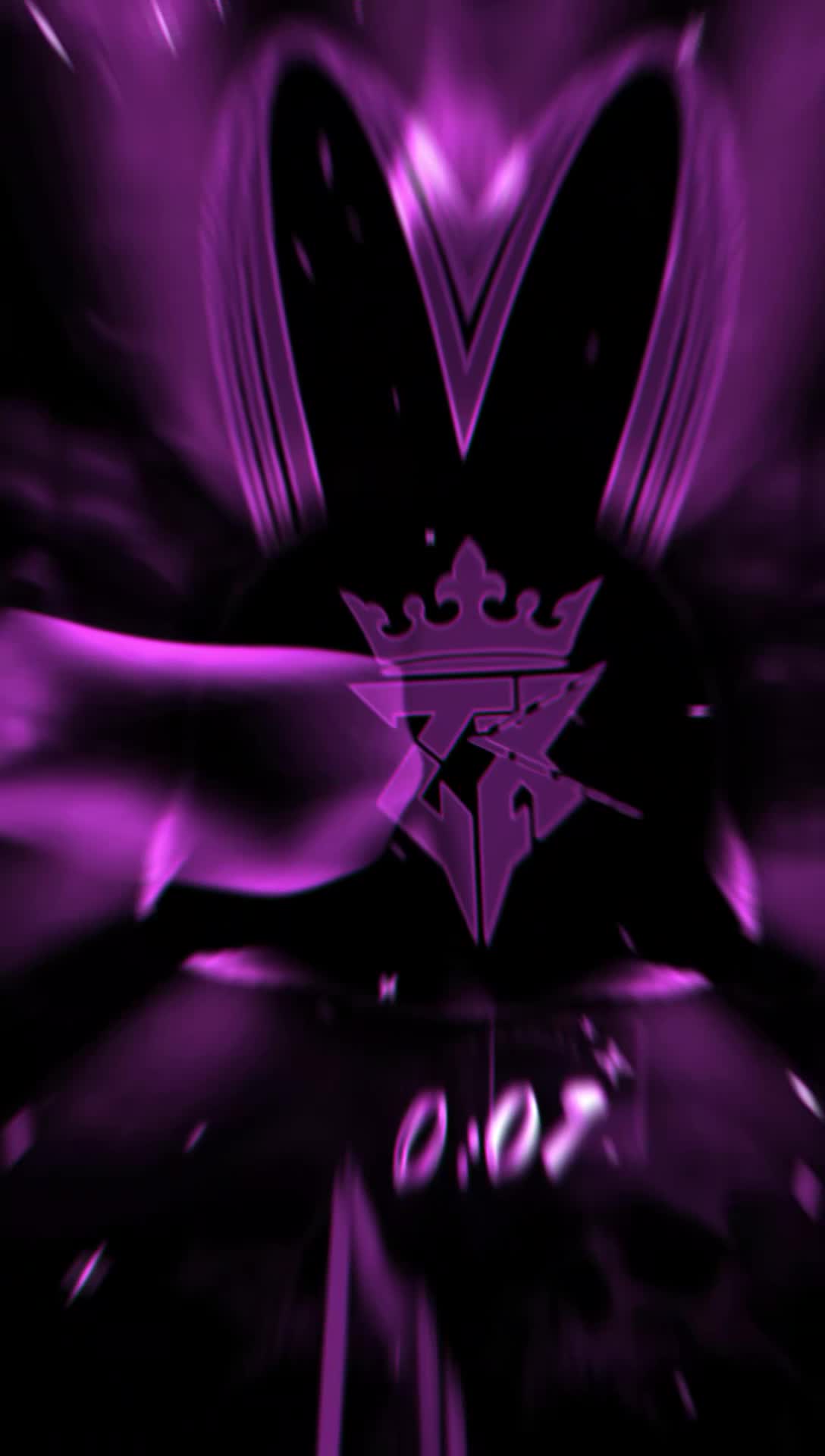 @ZYRO PHONK