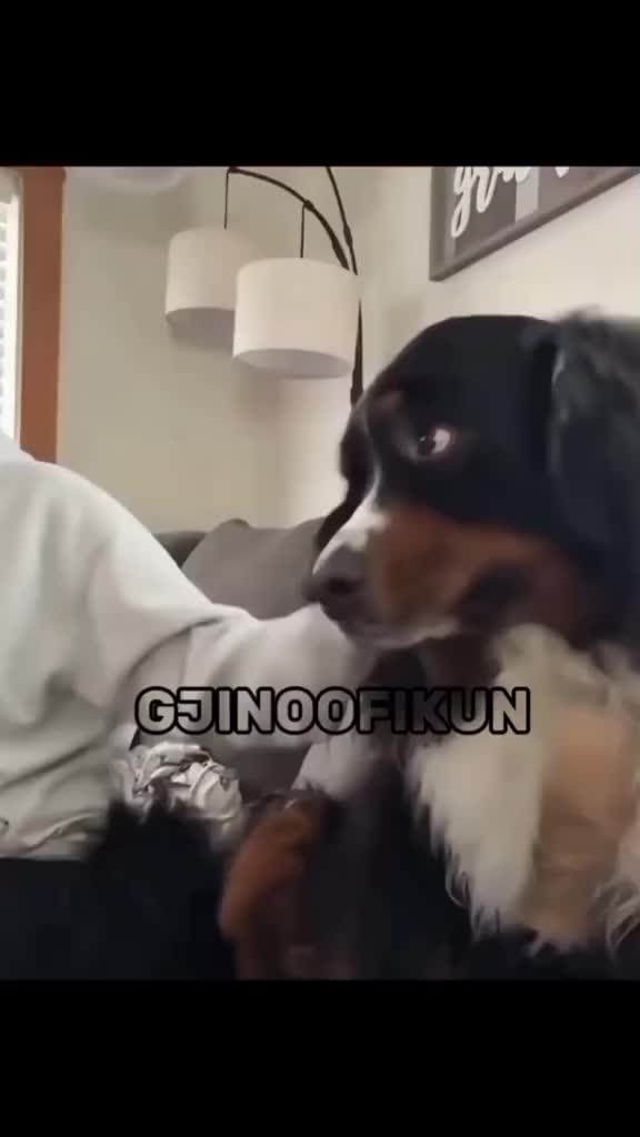 @GJINOOFIKUN🇦🇱✅️