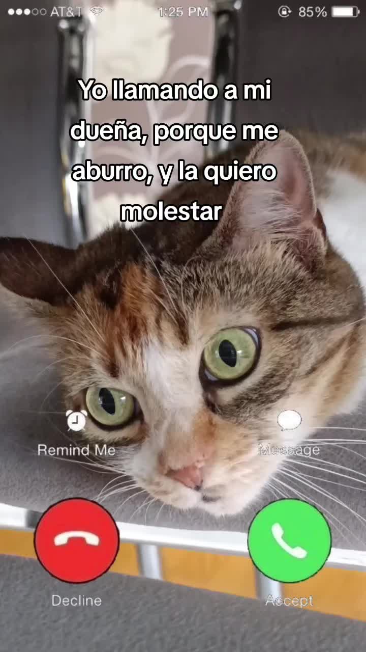 @Kaspi78 Yolanda