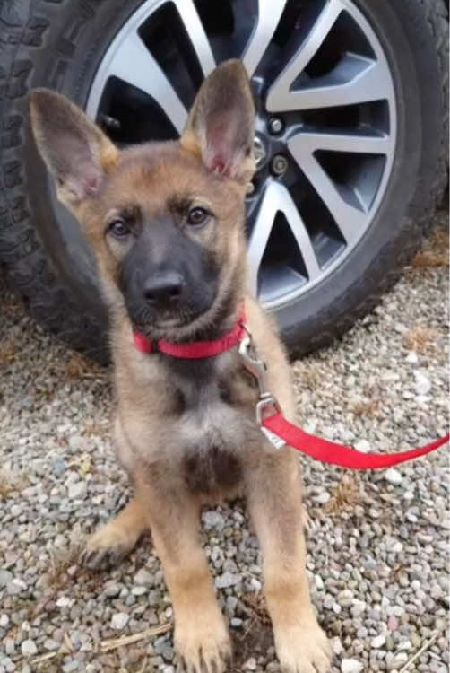 @Crazy GSD Lady