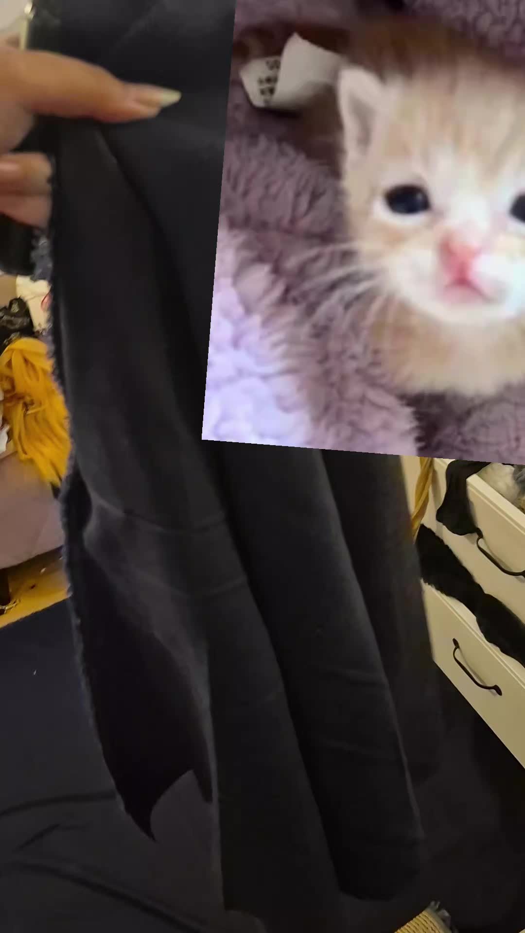 @ð² ࣪â¡rá¥dᥡ͡ÍÍ â¡á¥²zá¥rᥱ'á¥ð©ðªœ/ðŠâ¯ïž