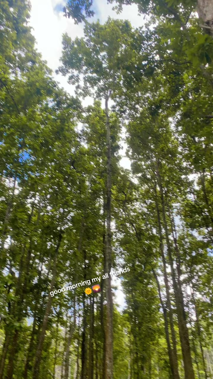 @puspalata9o1