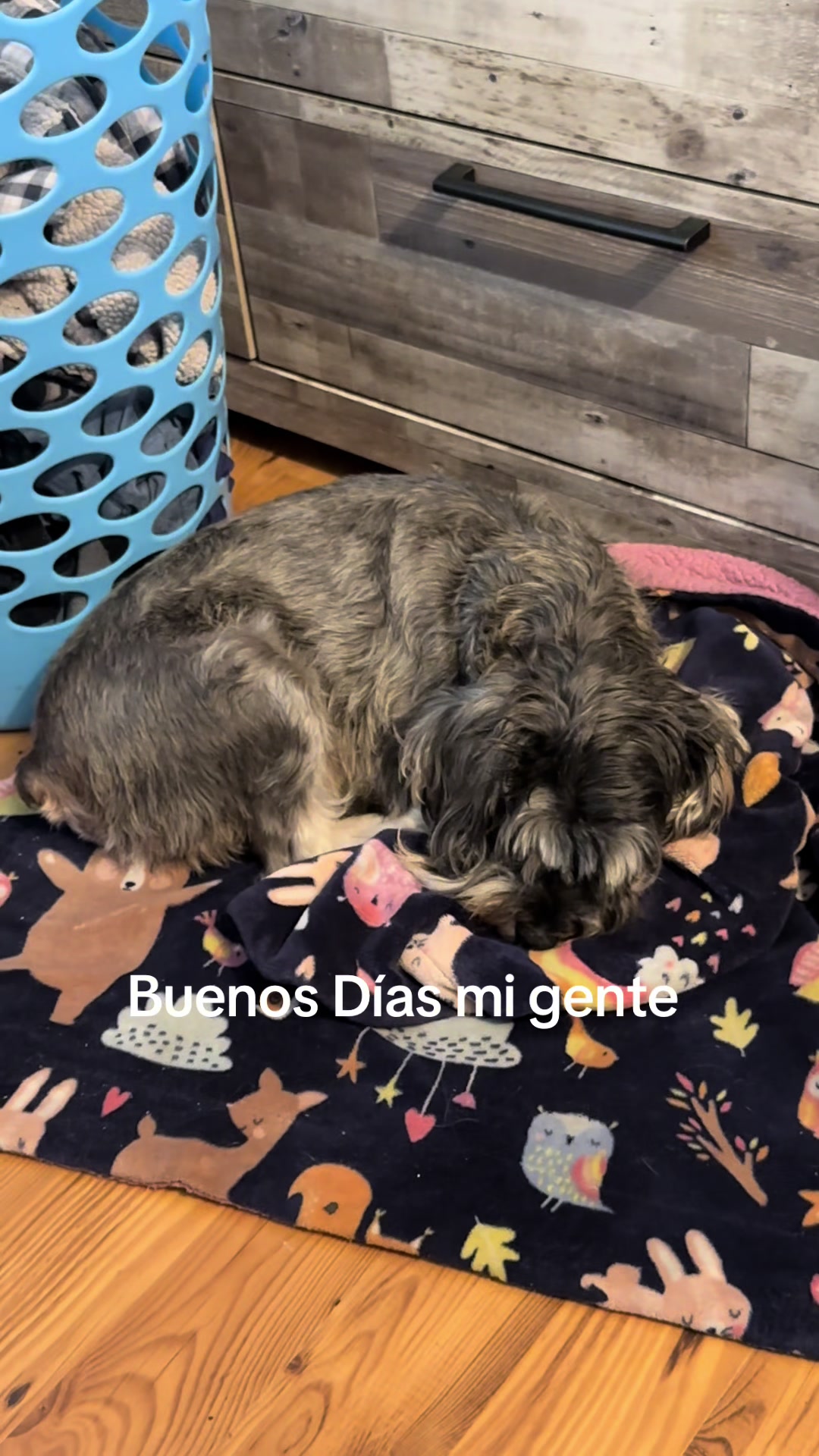 @Elcharitoopemex