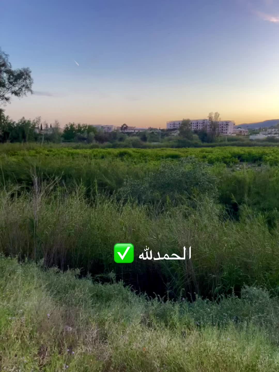 @مسليم