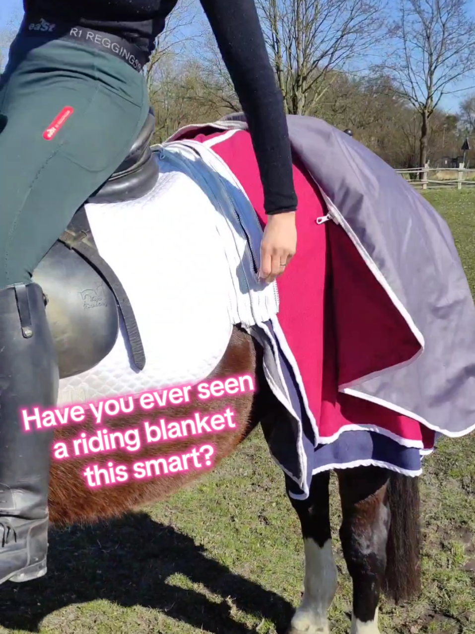 @Die Reitdecke