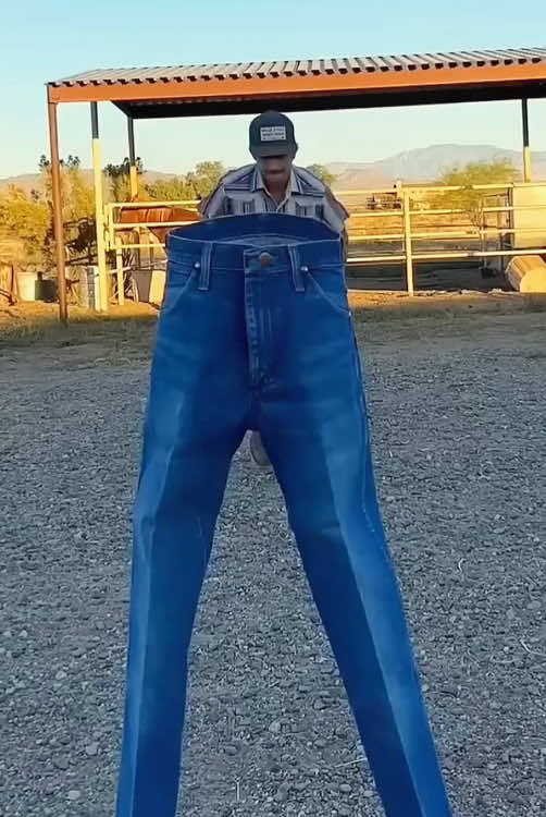 @coltonroseann