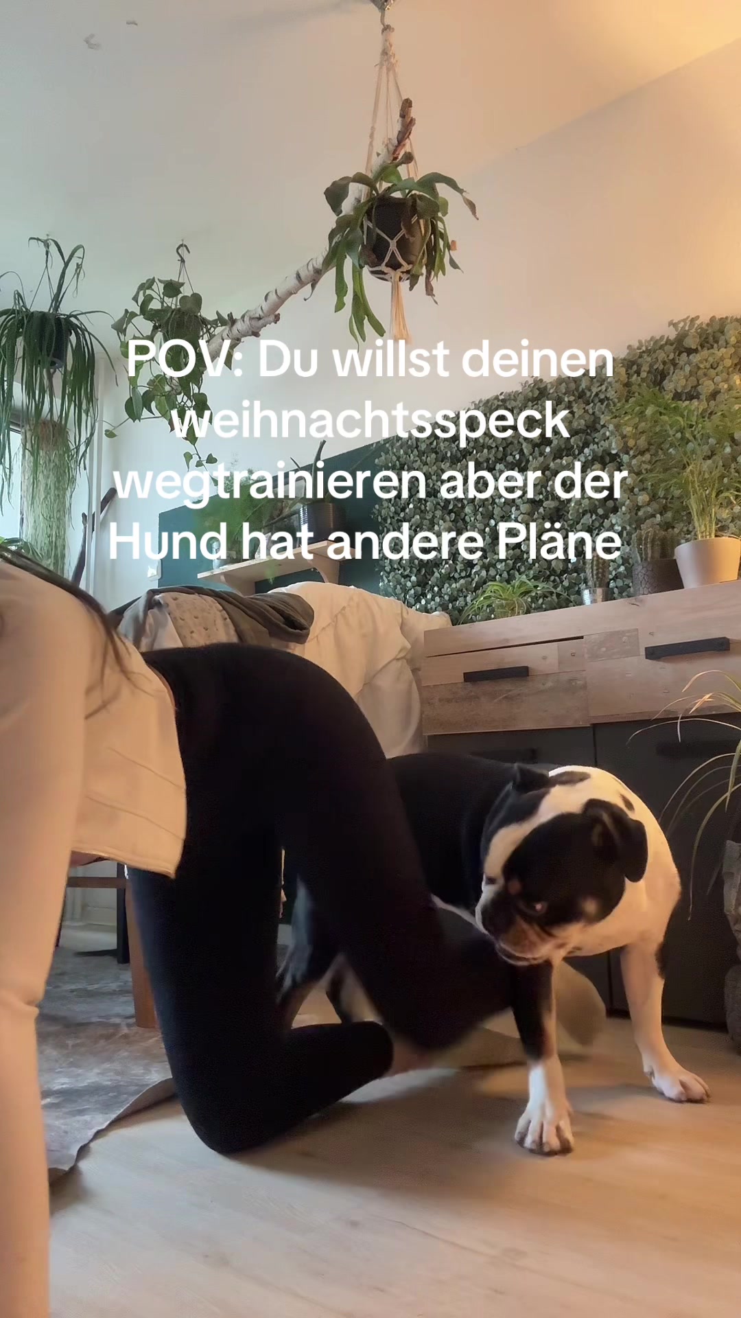 @SchwesterAlexa
