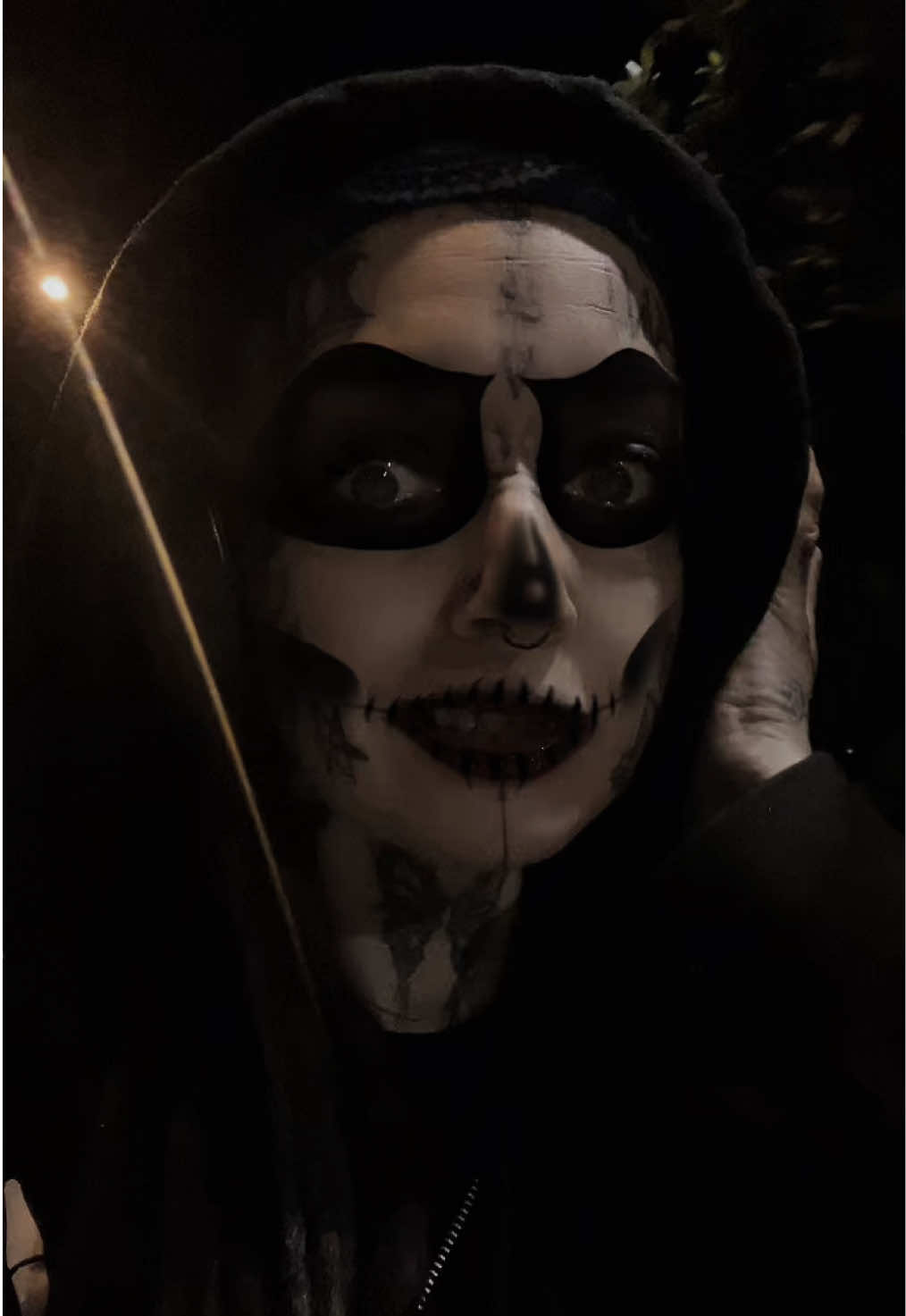 @Milenko (Ragdoll)