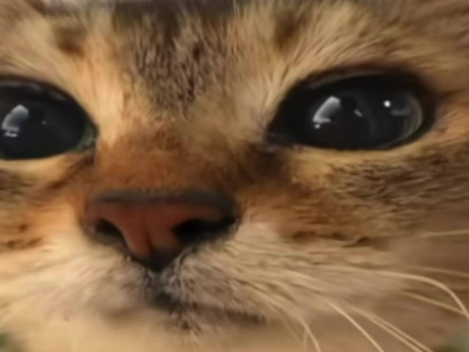 @SollarX53🪐⭐