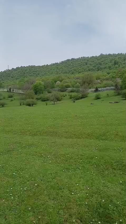 @saraxatun