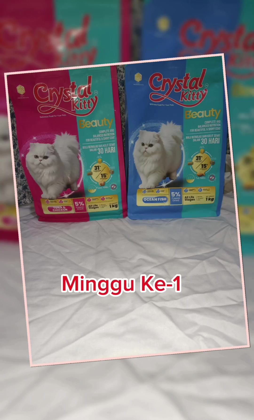 @Pras.Ayu 😻🇲🇨 🇪🇦