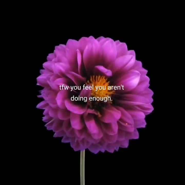 @♤𝙺𝚡𝚊𝚕'𝚎𝚕♧