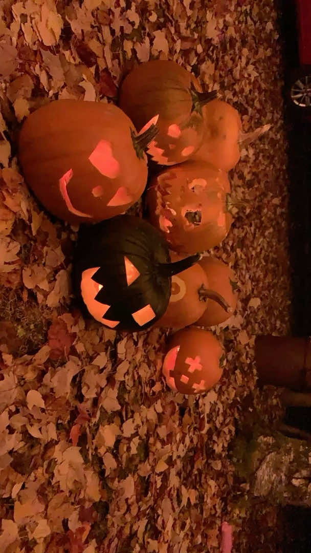 @🎃𝕽𝖆𝖈𝖍𝖊𝖑🦇