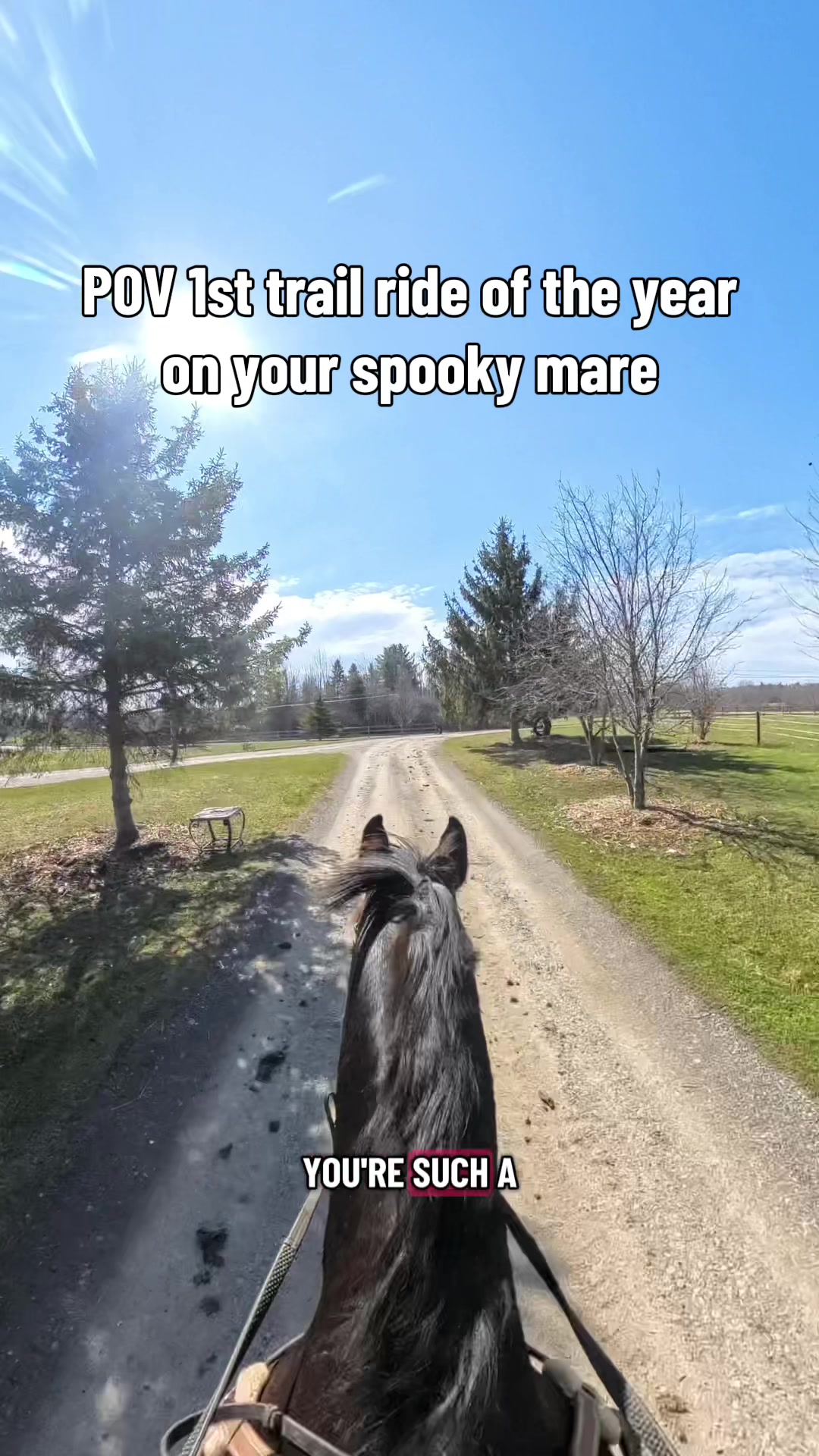 @Bennett Sisters Eventing