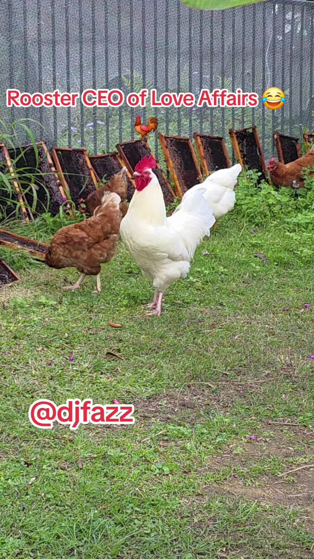 @DJFAZZ 🇳🇬🇦🇺🇫🇮🇬🇲