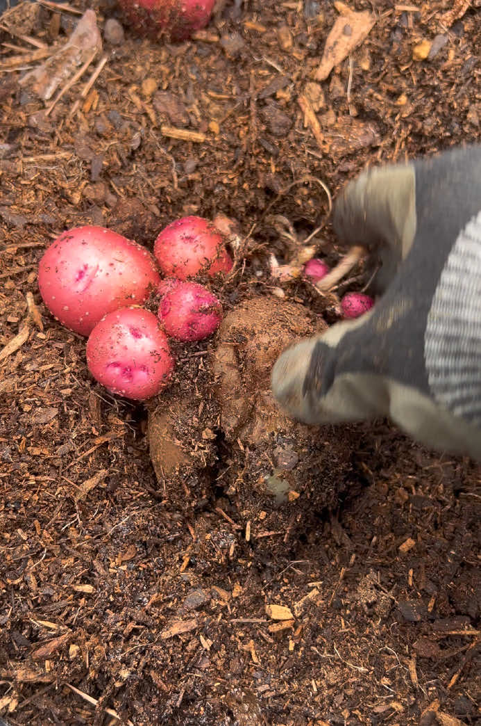 @Gardening4ME