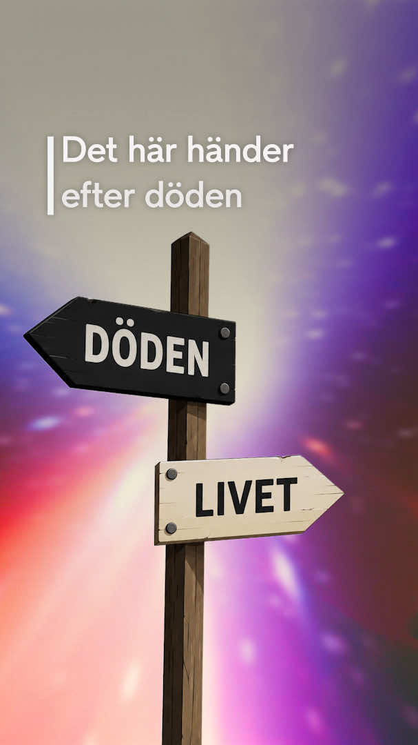 @TV4 Nyheterna