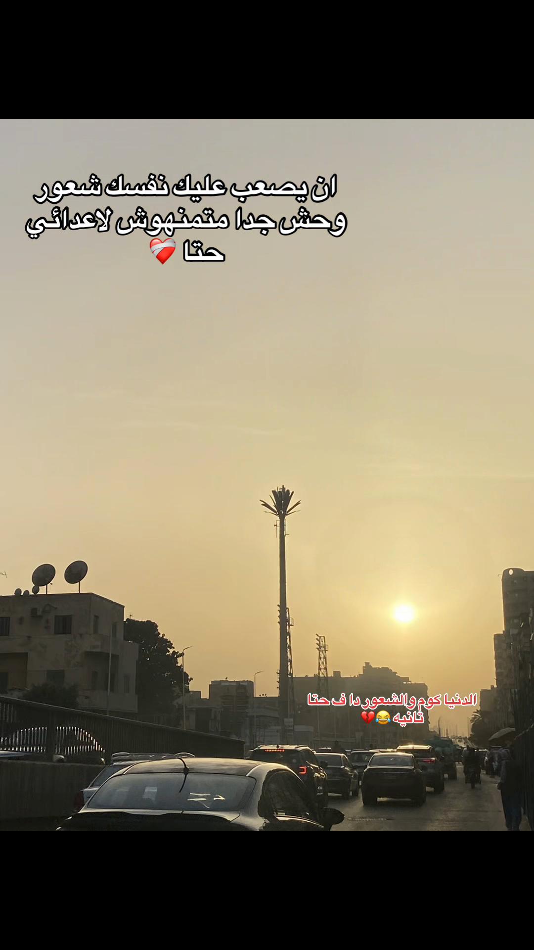 @لوليً🫆🐺
