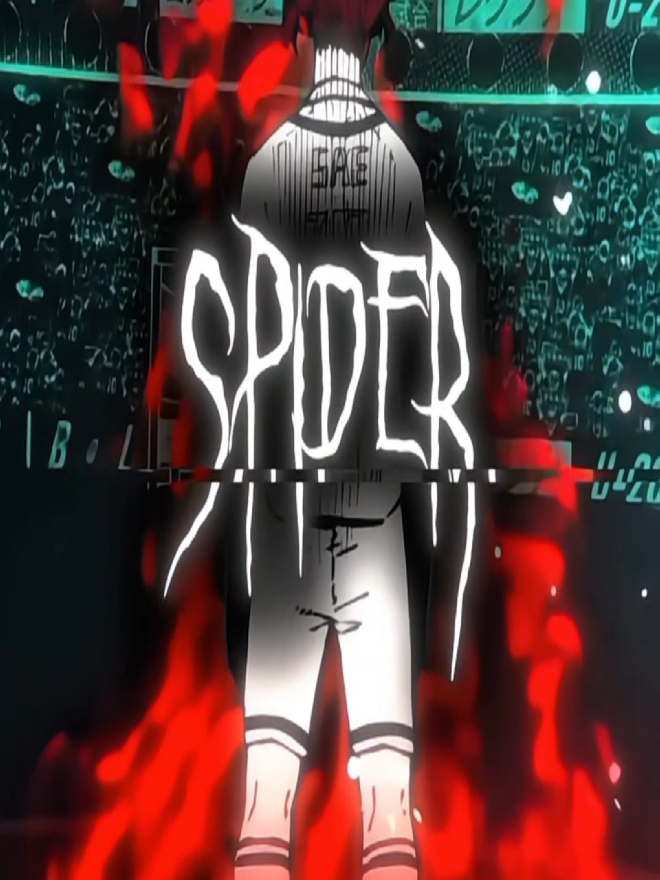 @𝑷 | Spider