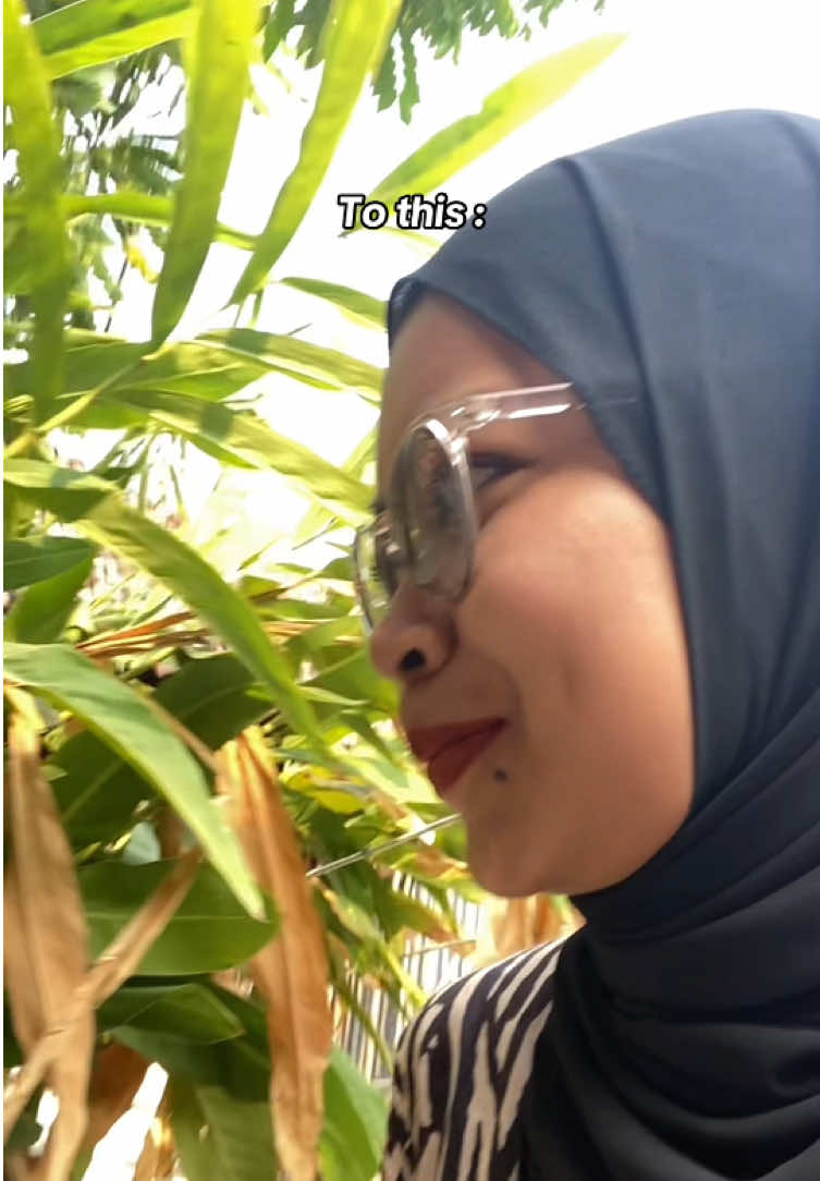 @lensky