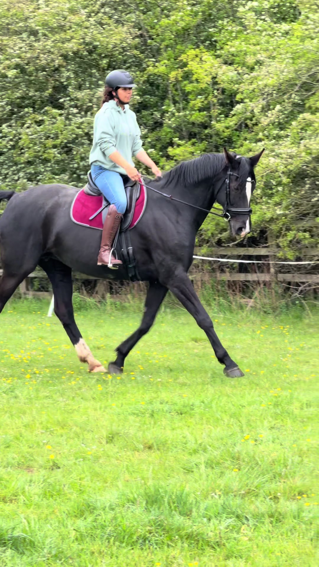 @Horses_with_Narni